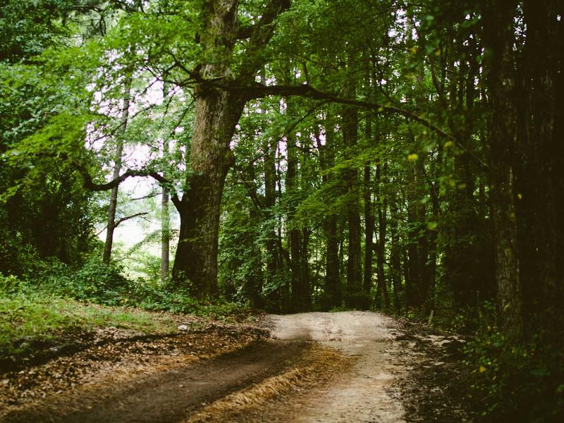 sudoku grid completion screenshot 6